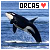 Whales: Orcas