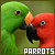 Birds: Parrots