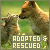 Animals: Adopted & Rescued