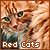 Felines: Red/Orange Cats
