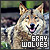 Wolves: Grey