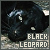 Big Cats: Leopards: Black