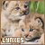 Big Cats: Lynxes