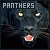 Big Cats: Panthers