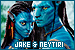 Avatar: Jake & Neytiri