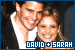 David Boreanaz &amp; Sarah Michelle Gellar